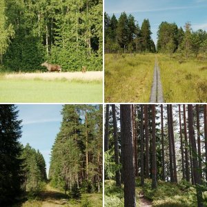 Zweden/Värmland 2010