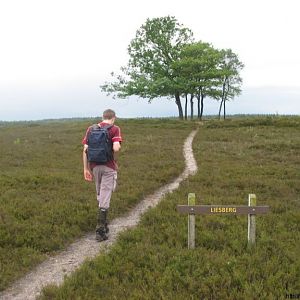 Media 'Liesberg' in categorie 'BzB-hike (05-06-2004)'