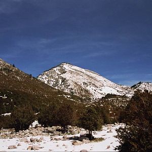 Comabona