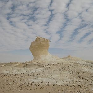 Fotoquiz 306