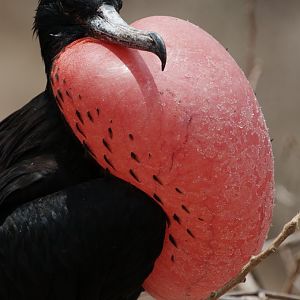 ecuador-64