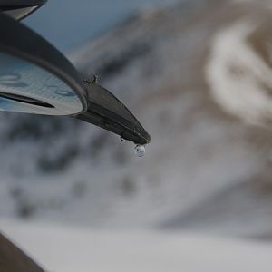 Reflection in a drop of water