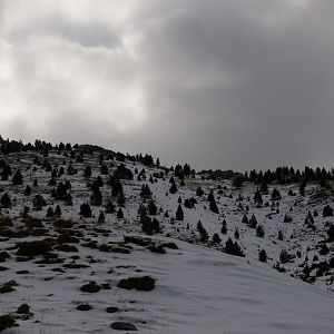 Sneeuwshoeing Cadí