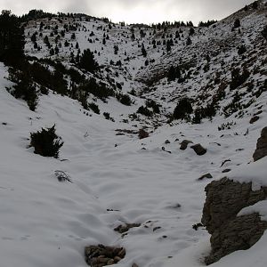 Sneeuwshoeing Cadí