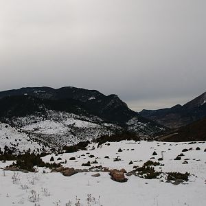 Sneeuwshoeing Cadí