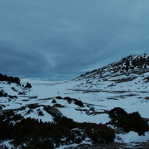 Sneeuwshoeing Cadí