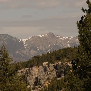 Parc de neu
