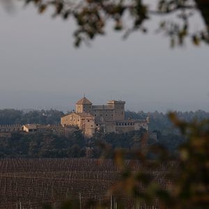 Castell de Riudabella