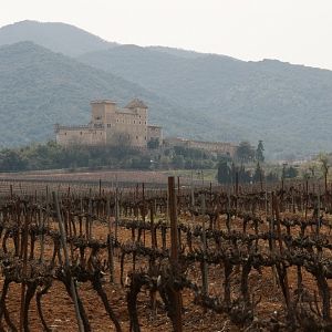 Castell de Riudabella