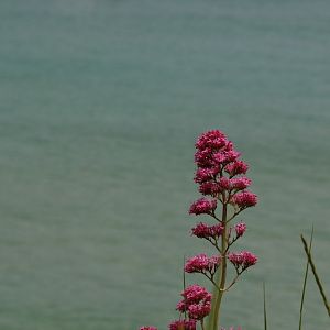 Costa Brava
