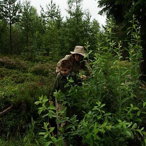 Värmland