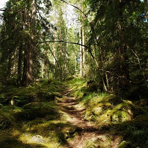 Värmland