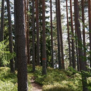 Värmland