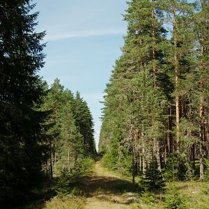 Värmland