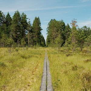 Värmland