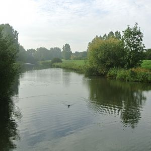 Lunetten.