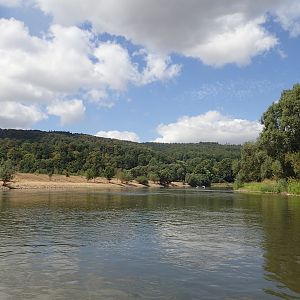 P8051574