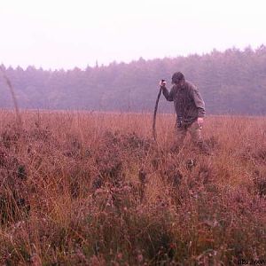 Frank op de terugtocht