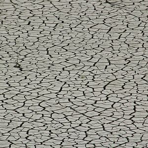 Zomerdroogte