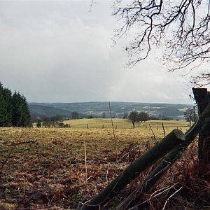 Doorkijkje-2