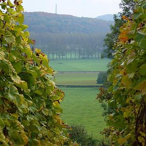Uitzicht vanaf Apostelhoeve II