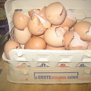 De traditionele eieren