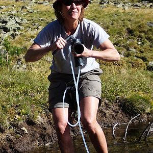 Marla doet de vogeltjesdans