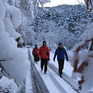Media 'De laatste meters...' in categorie 'Na-winteren op de Puigmal (28/31-03)'