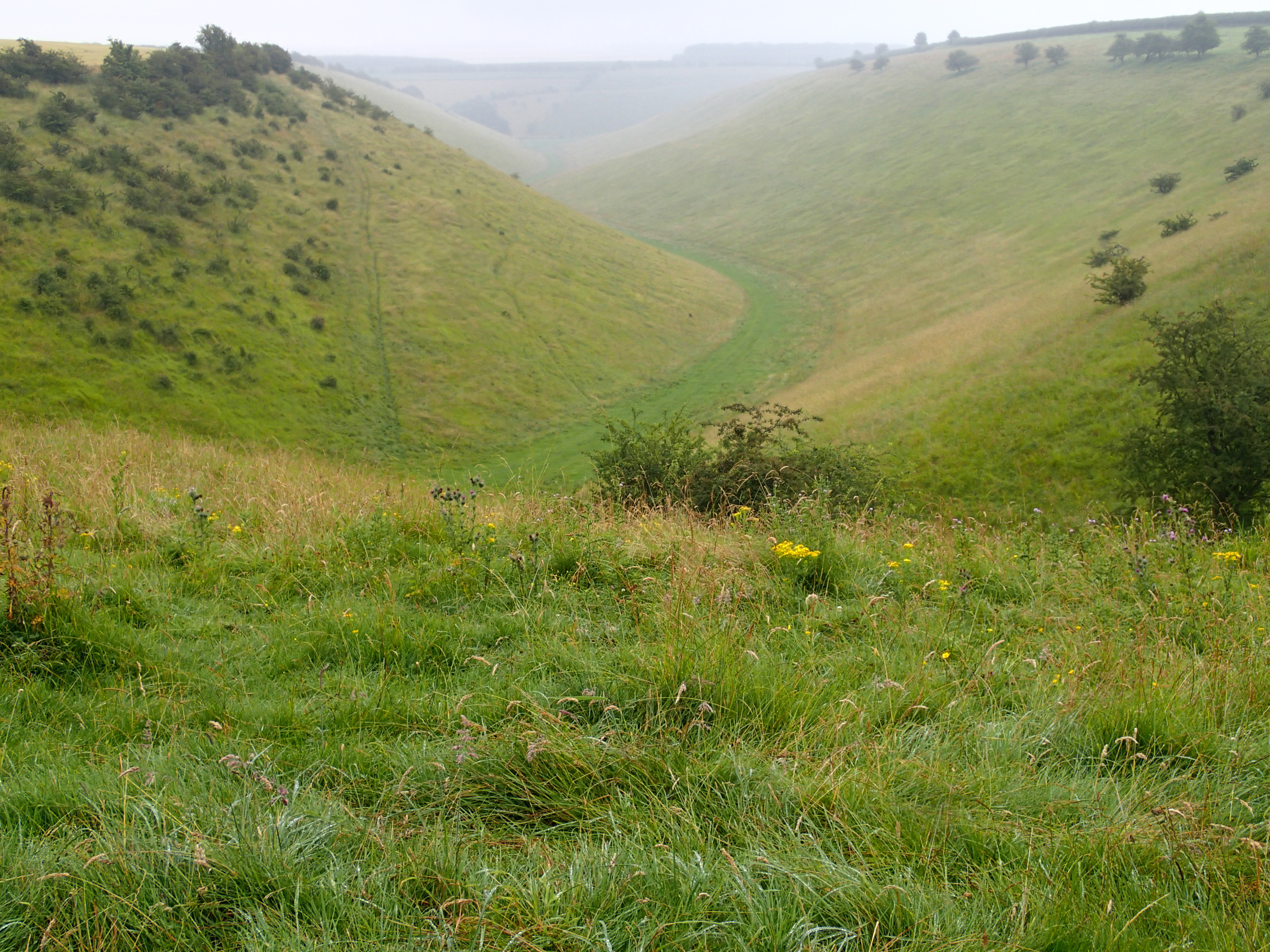 Yorkshire Wolds.JPG